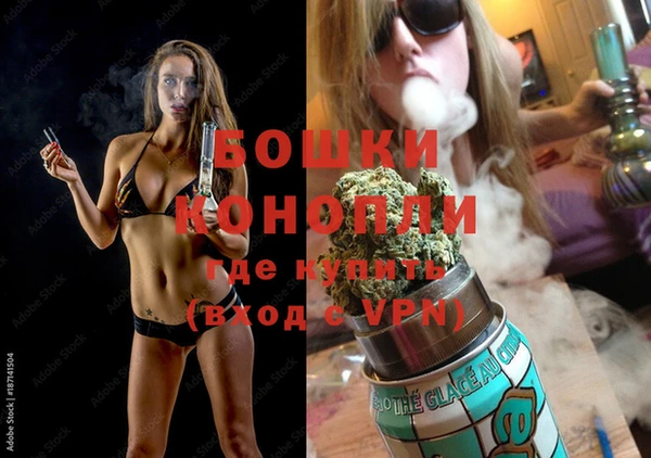 шишки Алзамай