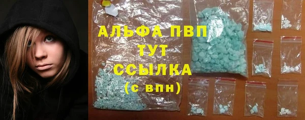 шишки Алзамай