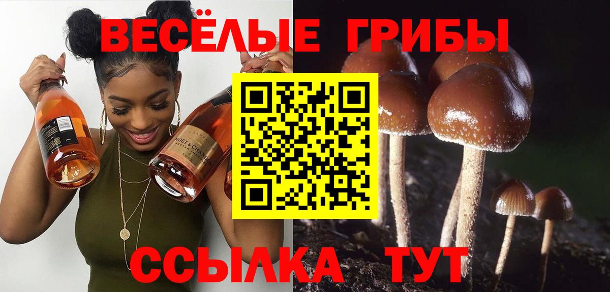 Псилоцибиновые грибы мицелий  Вход с VPN  Брянск 
